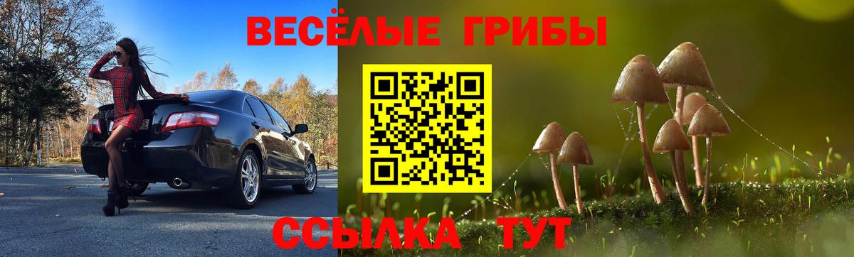 Псилоцибиновые грибы Magic Shrooms  магазин  наркотиков  Троицк  Вход с VPN 